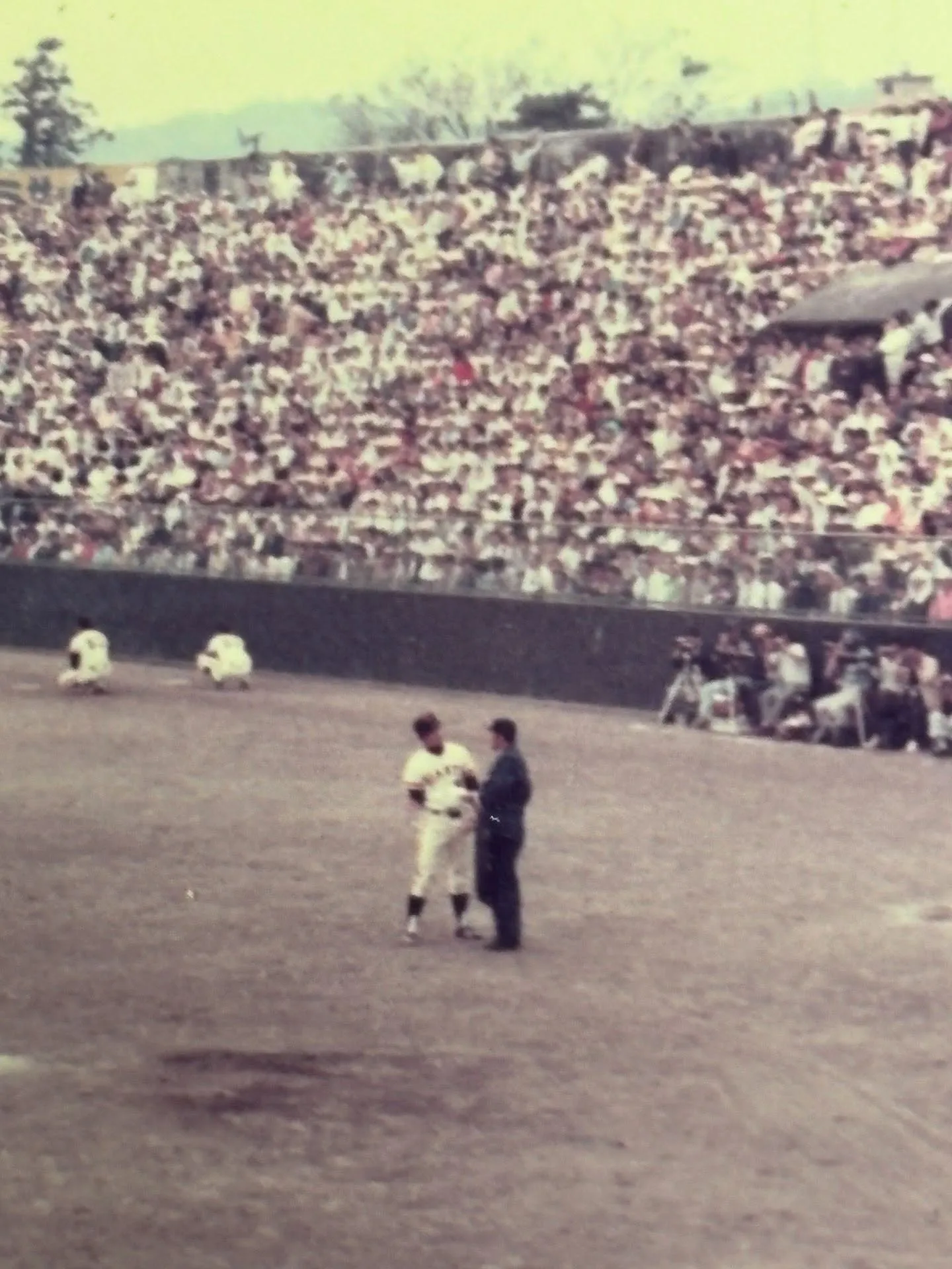 ⚾️ バッチコイ店主の独り言 ⚾️