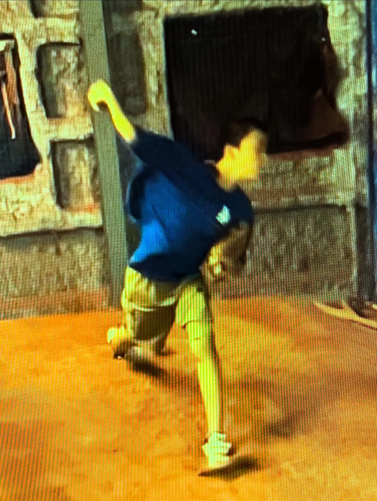 ⚾️ バッチコイ店主の独り言 ⚾️