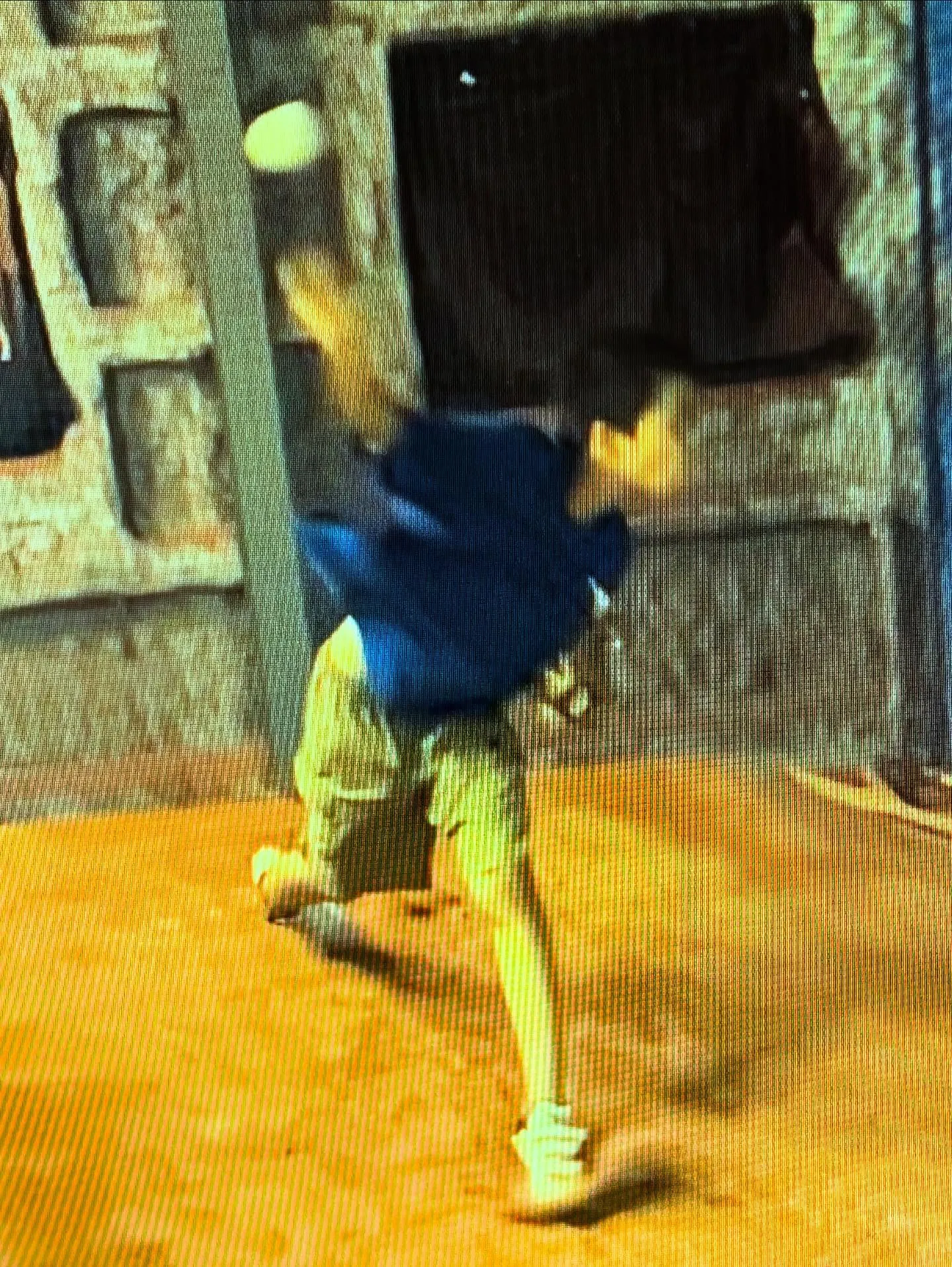 ⚾️ バッチコイ店主の独り言 ⚾️